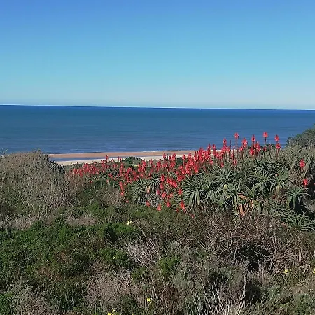 Pearl Of * Nazare