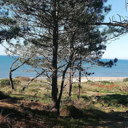 Pearl Of Apartment Nazare