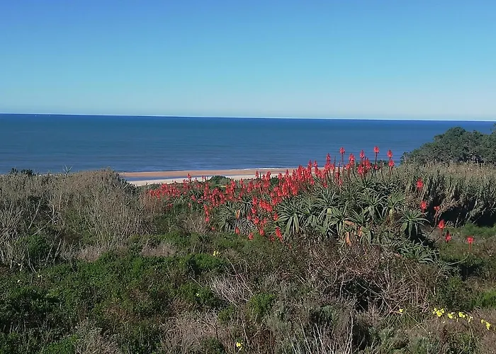 Pearl Of * Назаре